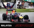 Себастьян Феттель празднует свою победу в Гран Гран-при Малайзии 2013
